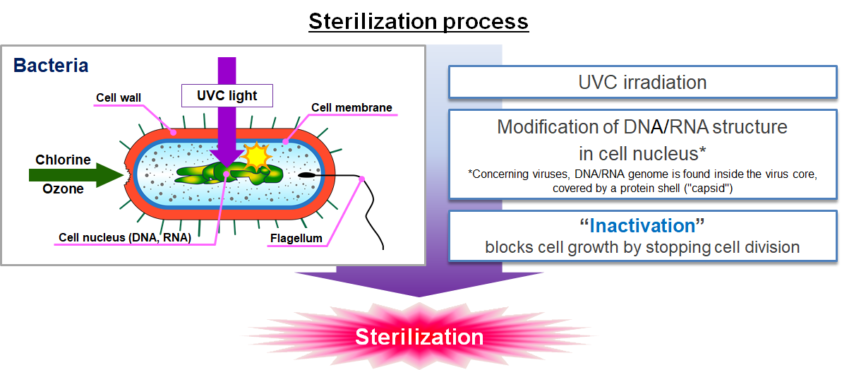 uv sterilizing uv sterilizing