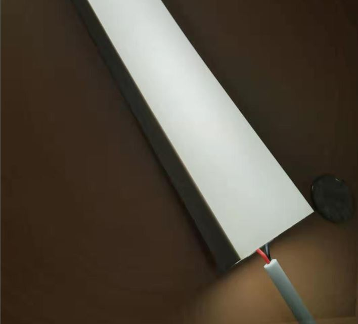 20x30 big neon led flex