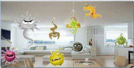 UVC Bacteria UVC Bacteria