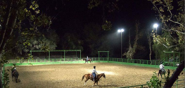 Application in horse riding field Application in horse riding field