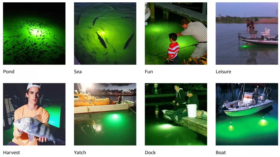 fishing light application fishing light application