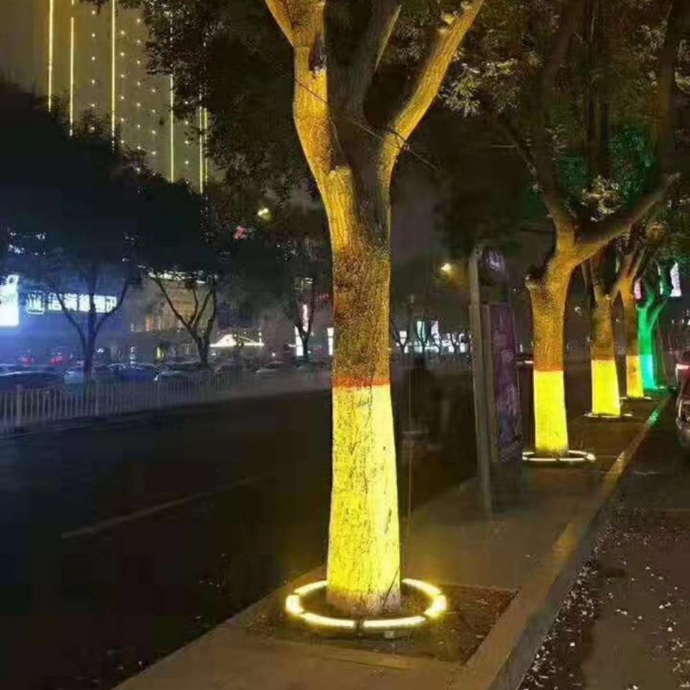 Tree-hugging light display 4