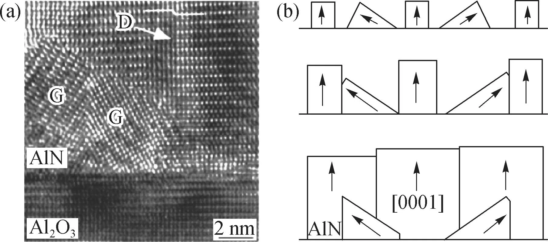 transmission electron microscopy image 