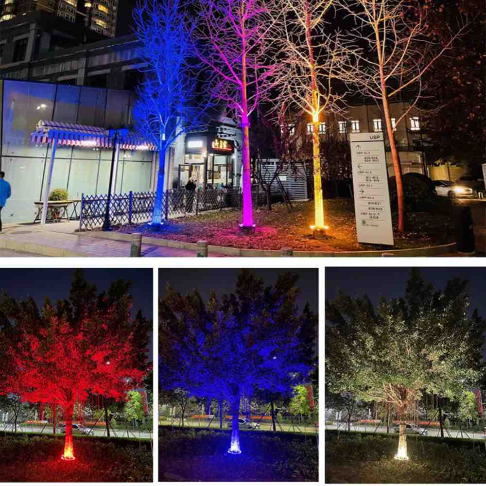 Tree-hugging light display 2