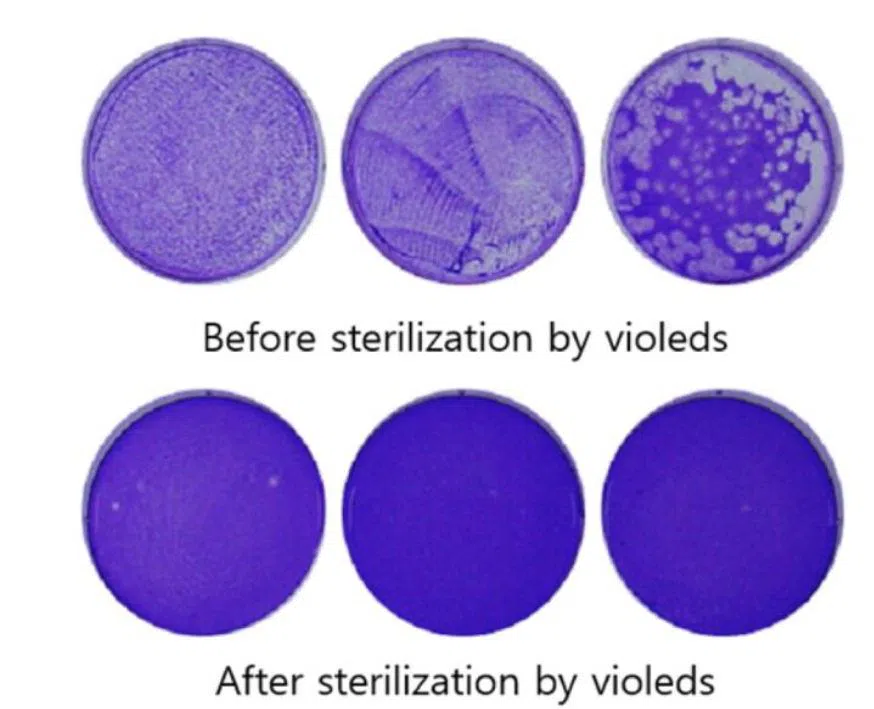 Sterilization