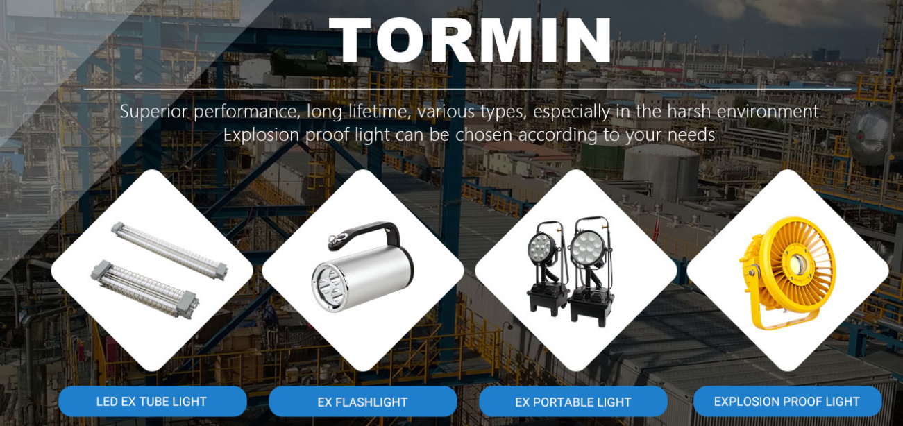 Zhejiang Tormin Electrical Co.,Ltd