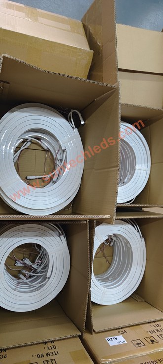 Addressable WS2815 strip supplier