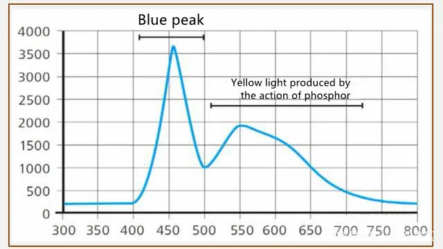 shineskygroup.com_2019-06-15_03-48-02