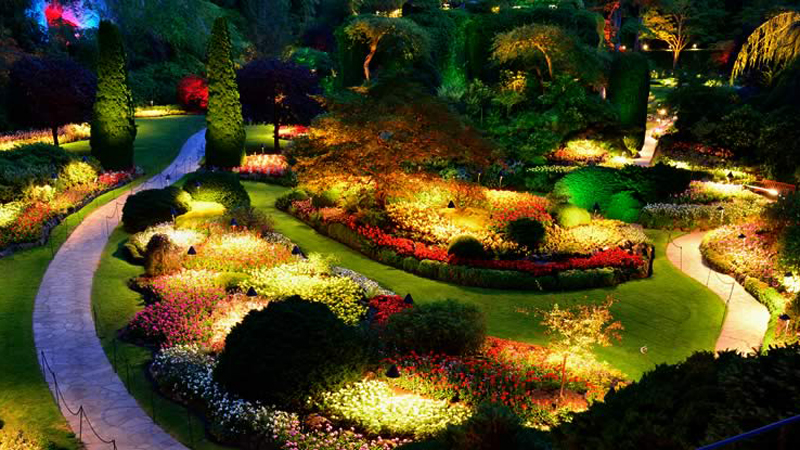 Outdoor Garden LED Path & Spread Landscape Lighting