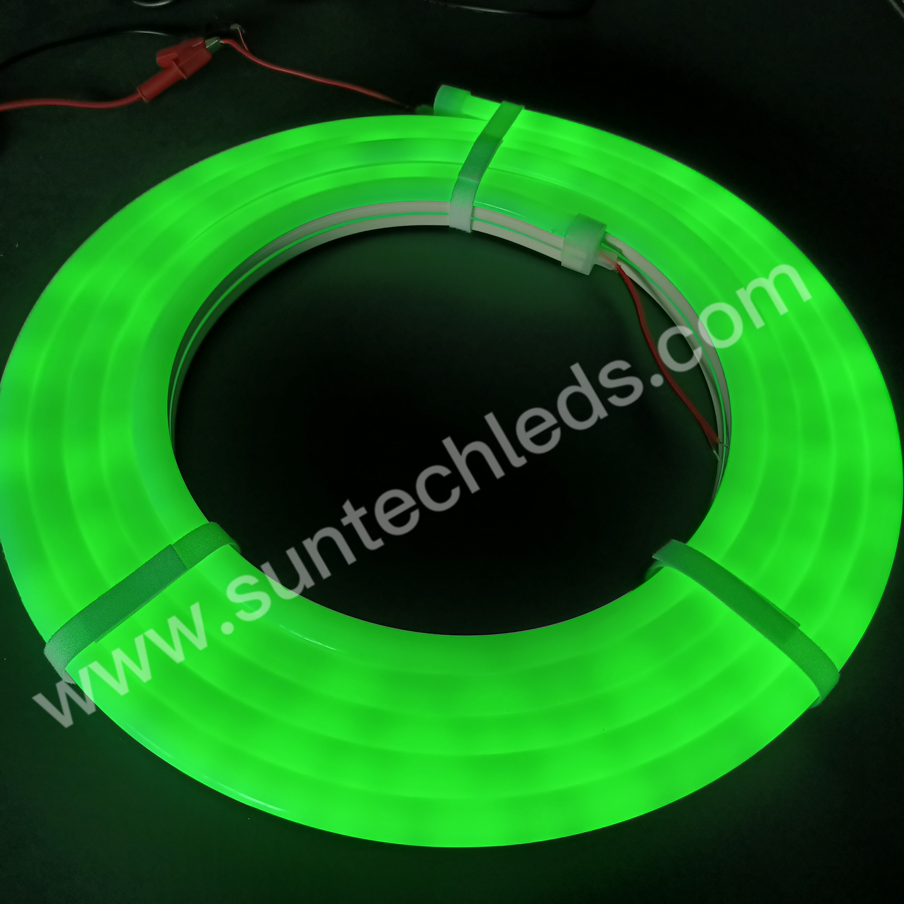 Flexible Neon Light