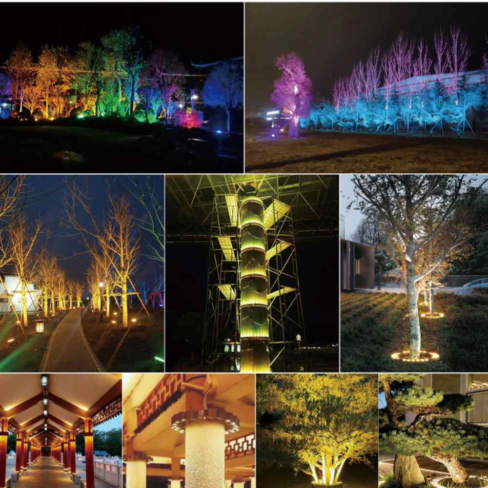 Tree-hugging light display 3