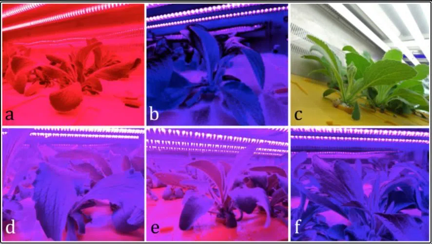 Does uv cause cancer? Shenzhen Suntech Company Limited