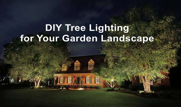 DIY Tree Lighting for Your Garden Landscape