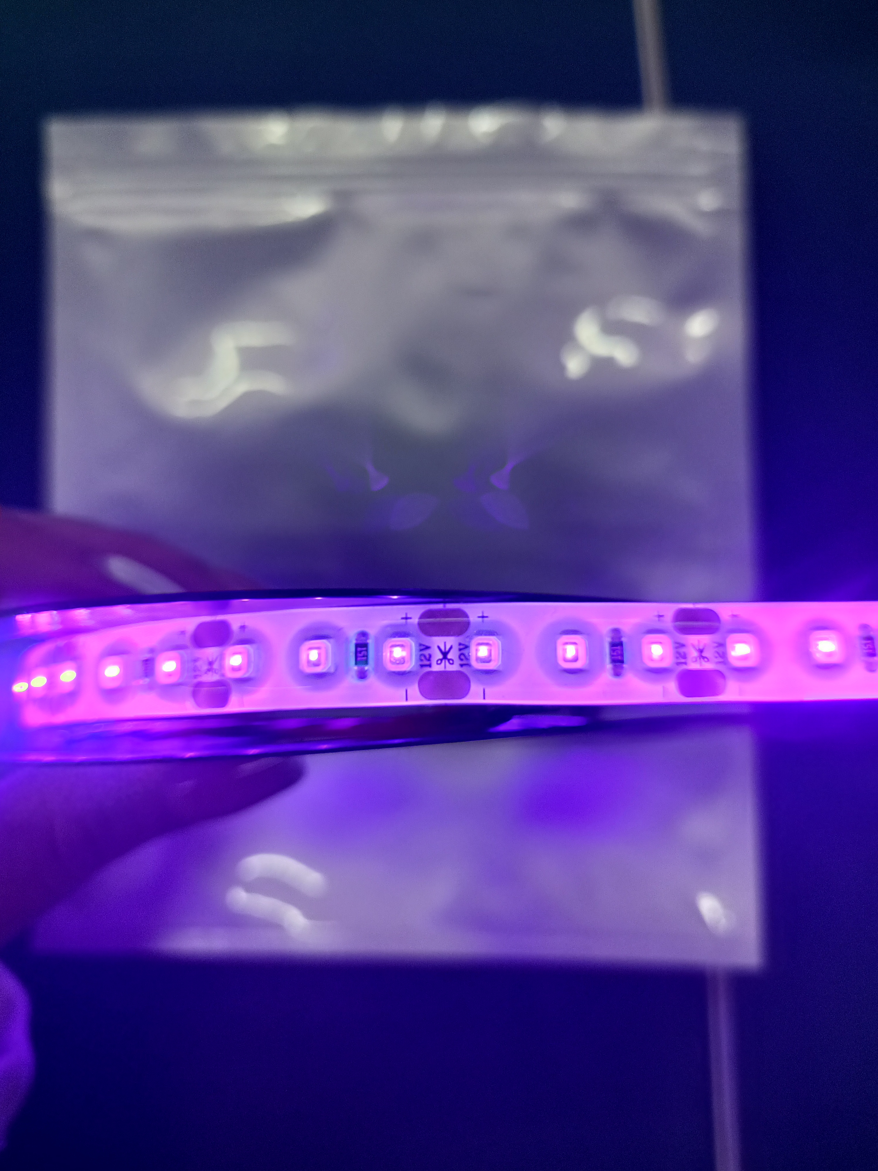 395nm led strip